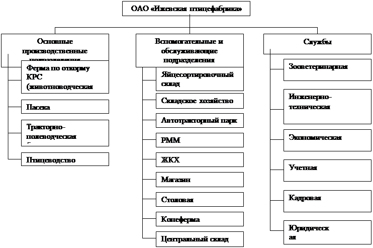 Структура управления птицефабрики схема - 93 фото