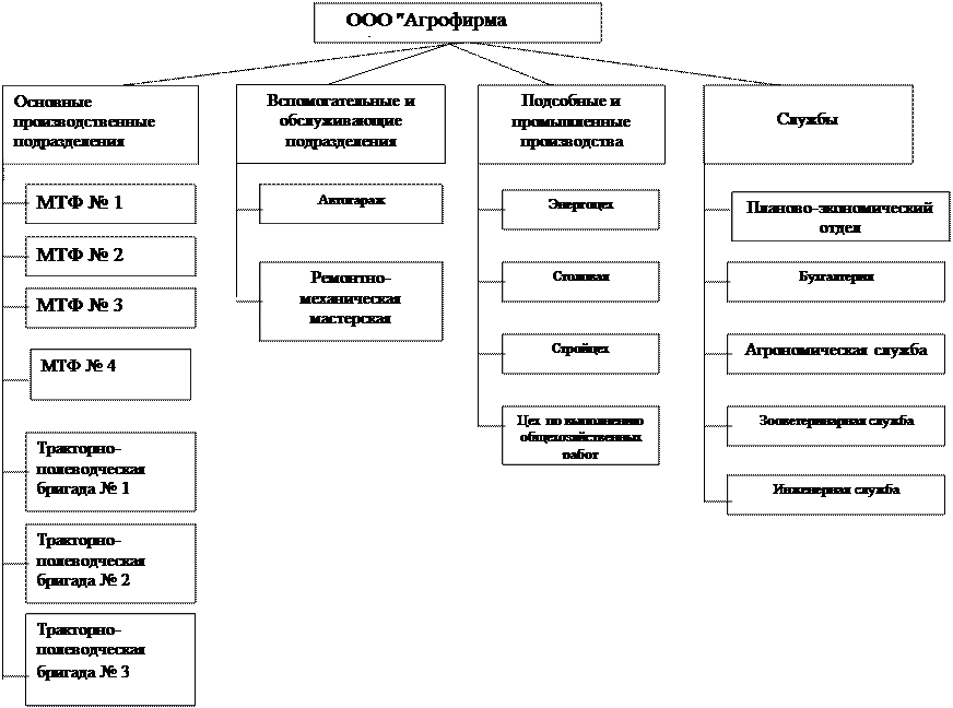 Ст предприятием. Организационная структура сельхоз предприятия. Организационная структура агрохолдинга схема. Организационная структура ООО Агрофирма Приволье. Организационная структура Агрофирмы схема.