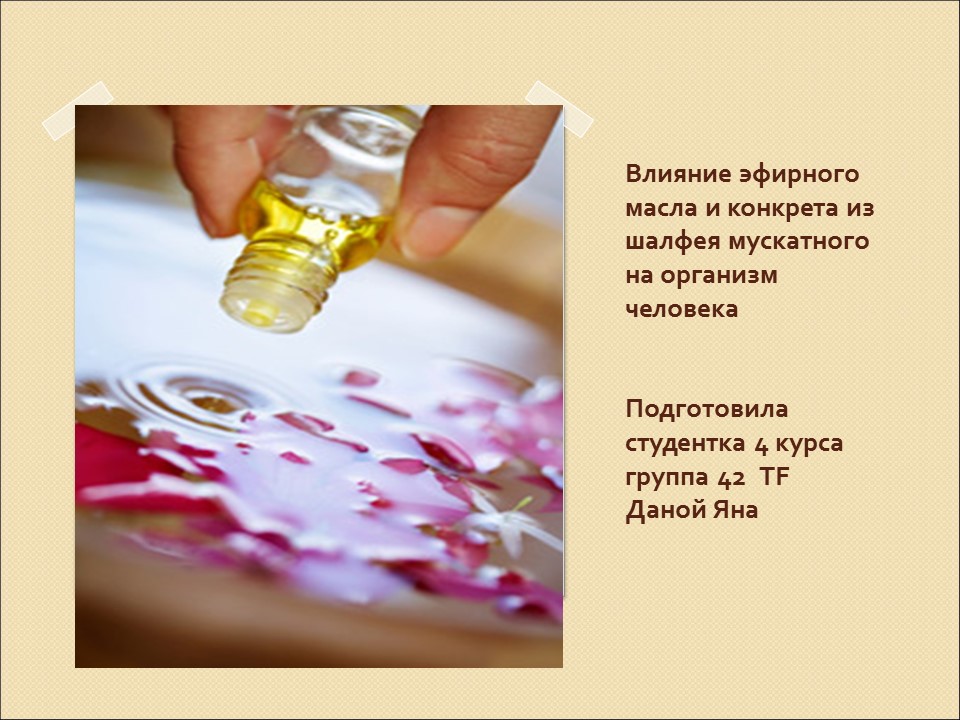 Влияние эфирного масла и конкрета из шалфея мускатного на организм человека