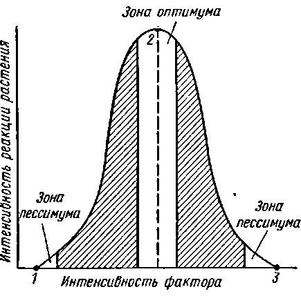 Зона оптимума