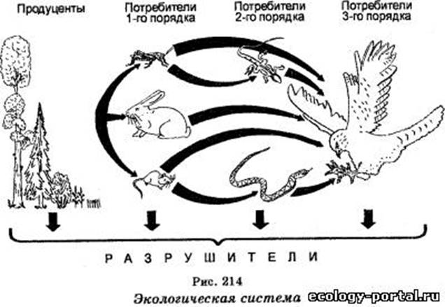 Экологическое описание козы в экосистеме